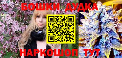 индика Лесосибирск