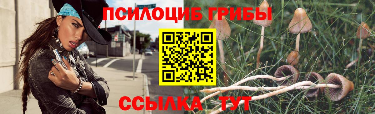 Псилоцибиновые грибы мицелий Электросталь