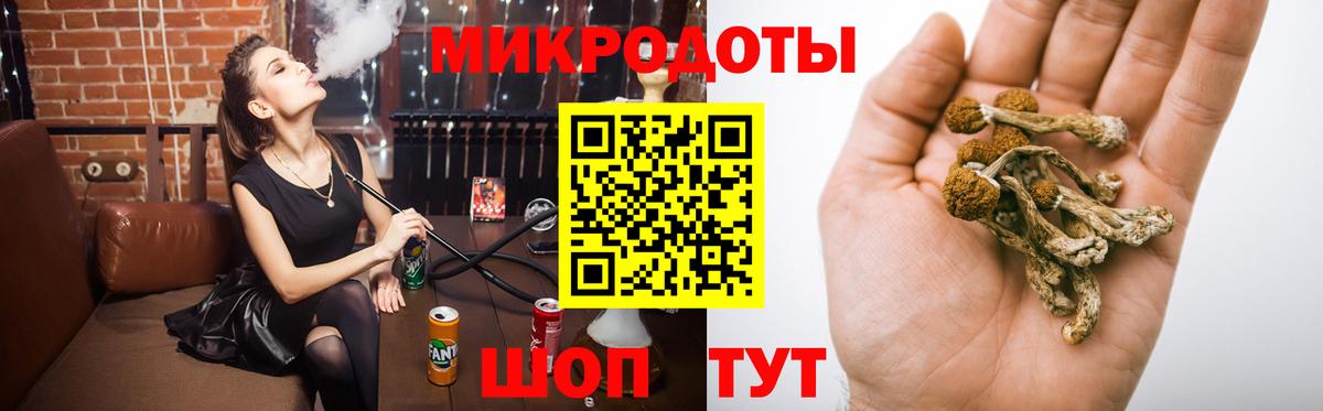 Электросталь  даркнет сайт  Вход с VPN  Псилоцибиновые грибы прущие грибы  Галлюциногенные грибы GOLDEN TEACHER 